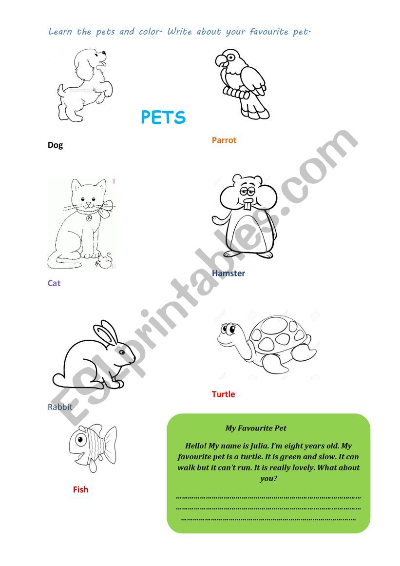 PETS worksheet