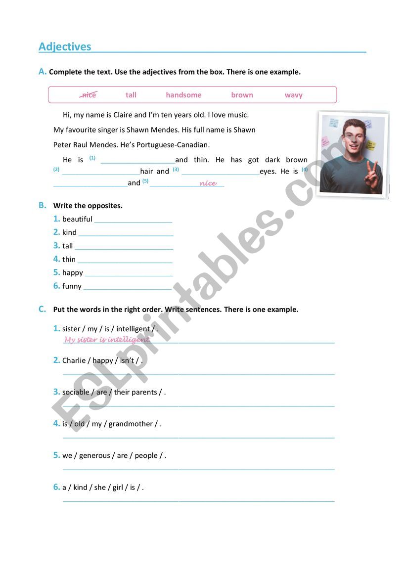 Adjectives worksheet