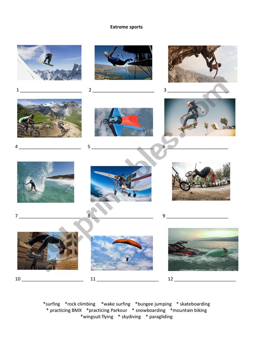 Extreme Sports worksheet worksheet