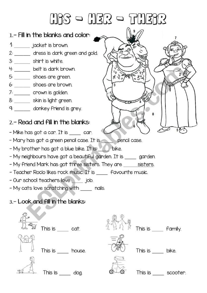 HIS-HER-THEIR worksheet