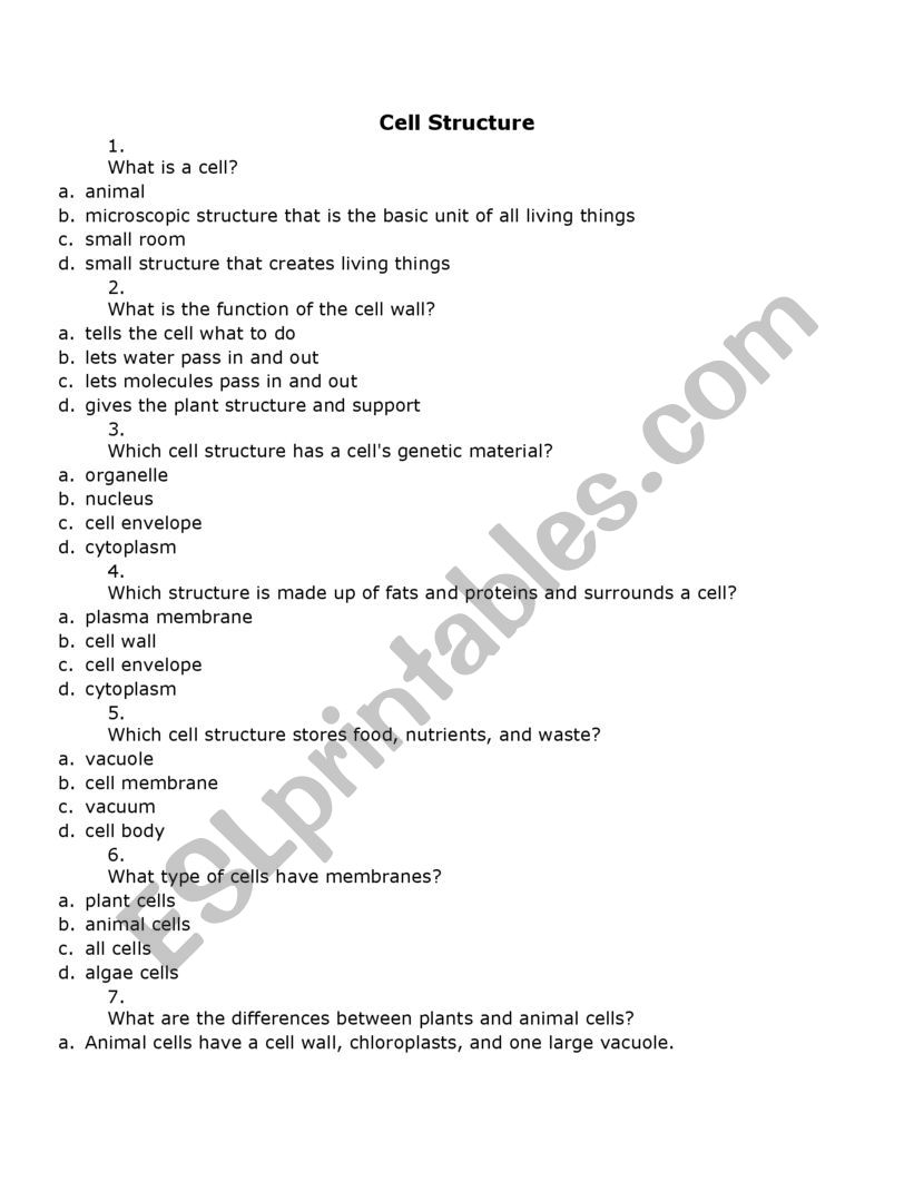 cell structure worksheet