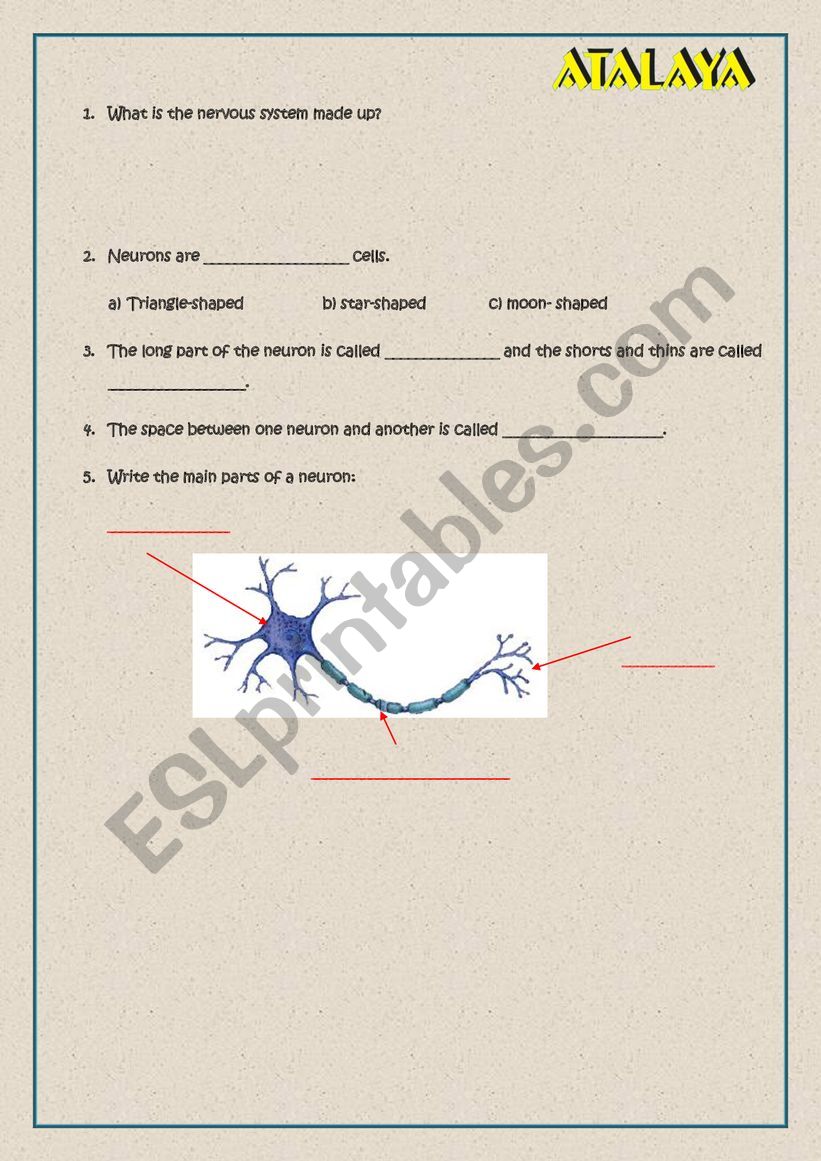 Natural Science worksheet