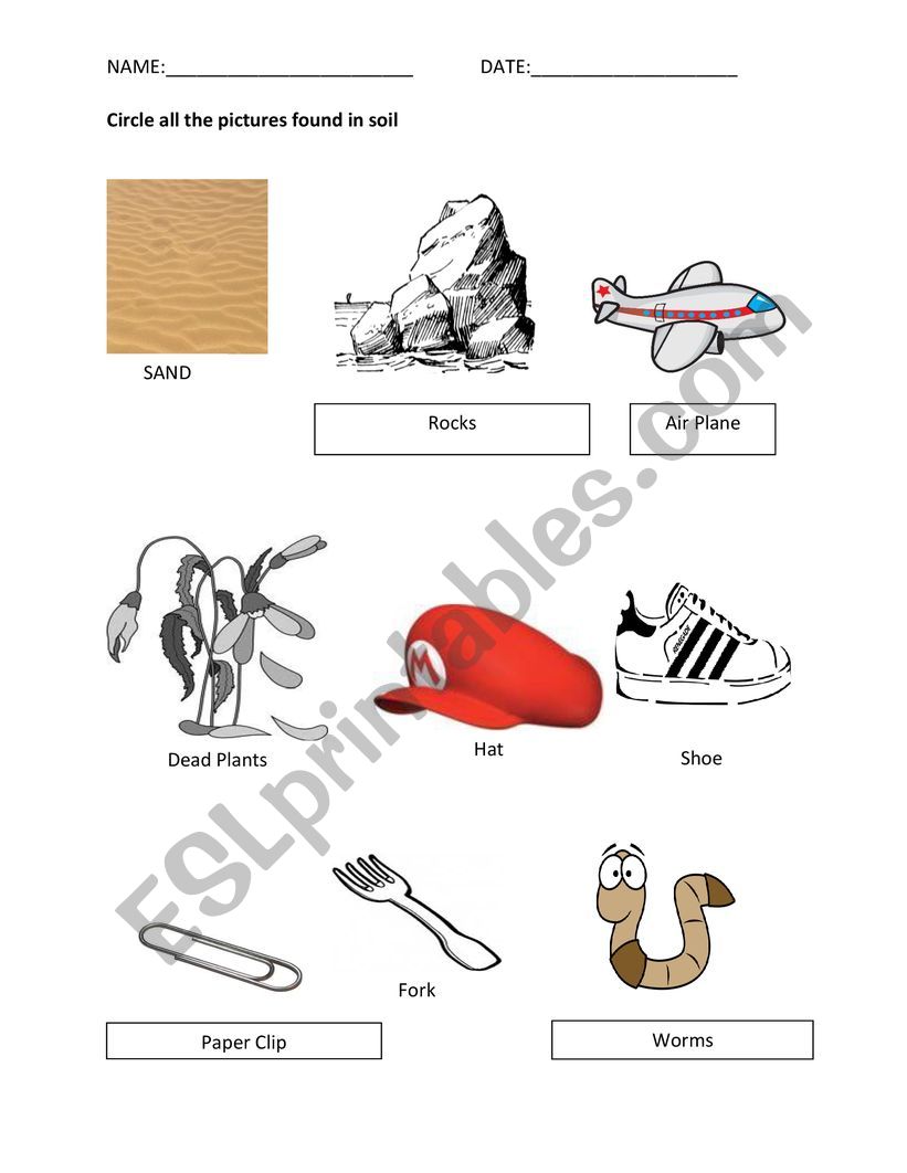 Soil Composition worksheet