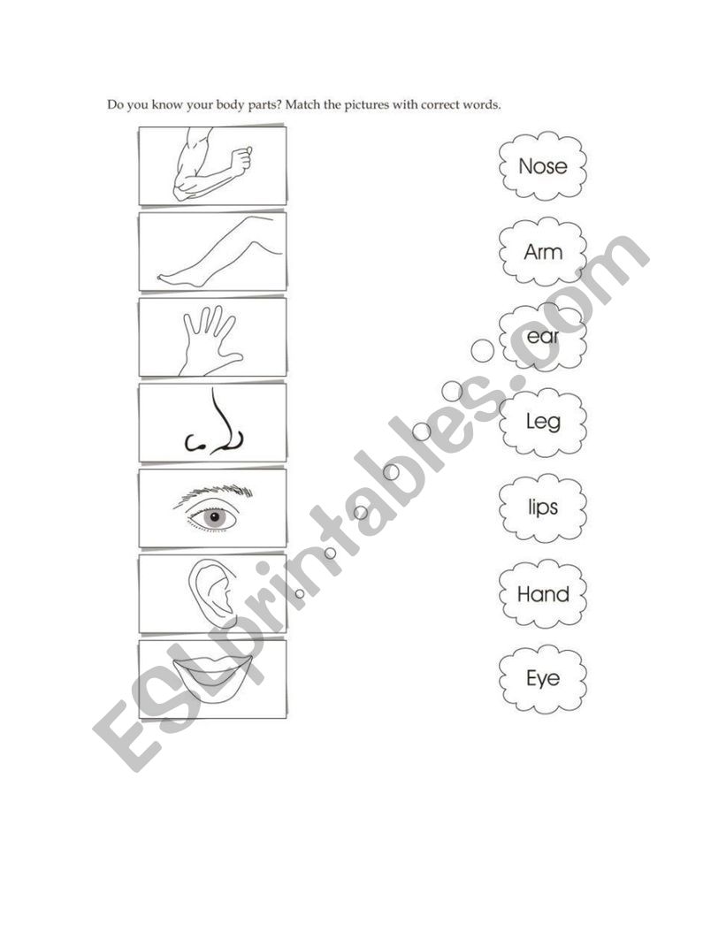 body parts worksheet