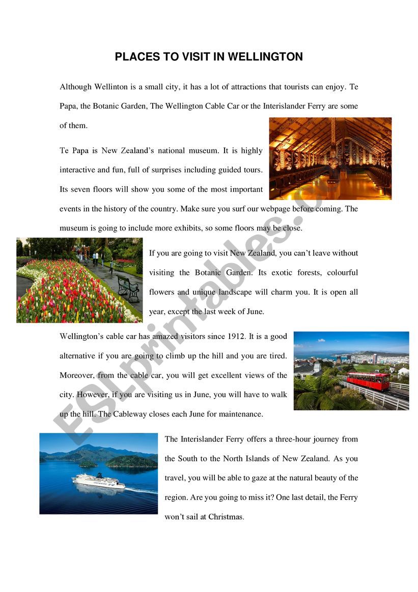 Reading activity New Zealand worksheet