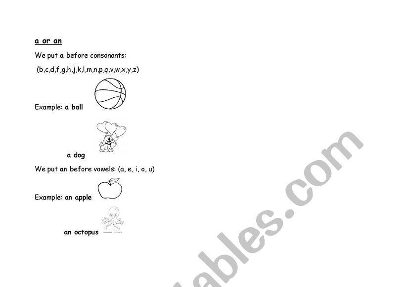 a/an note worksheet