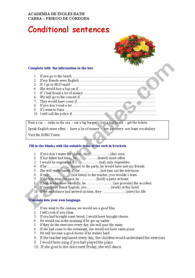 conditional senteces worksheet