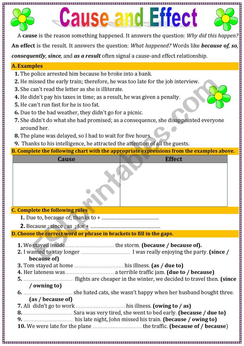 Cause and Effect worksheet