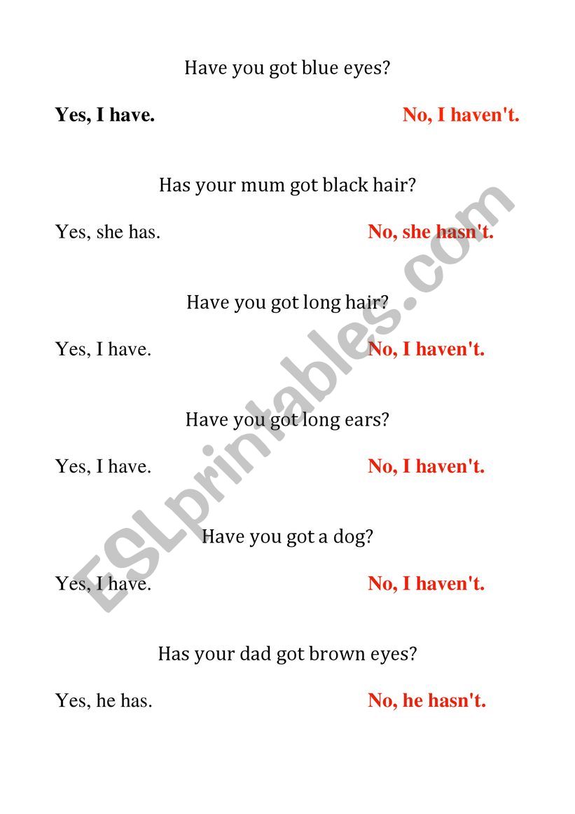 Have/Has Questions and Short Answers