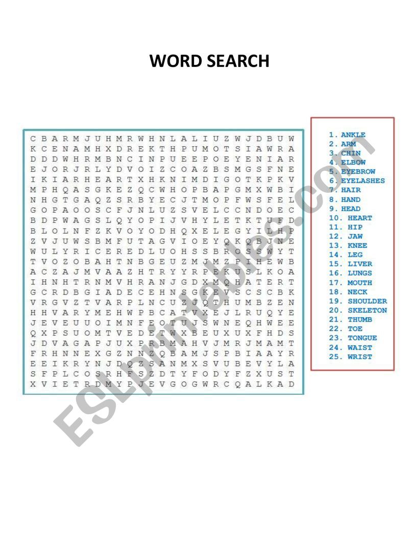 WORD SEARCH worksheet