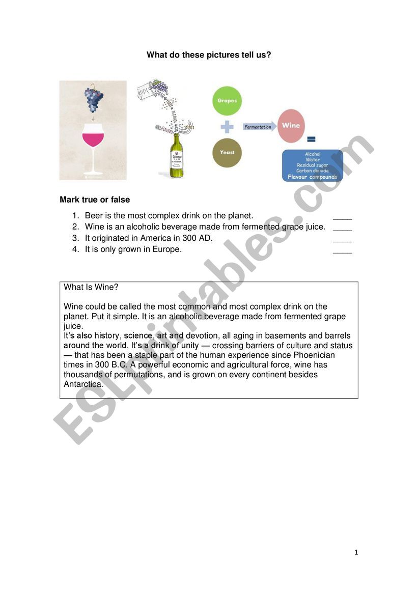 Wine reading worksheet