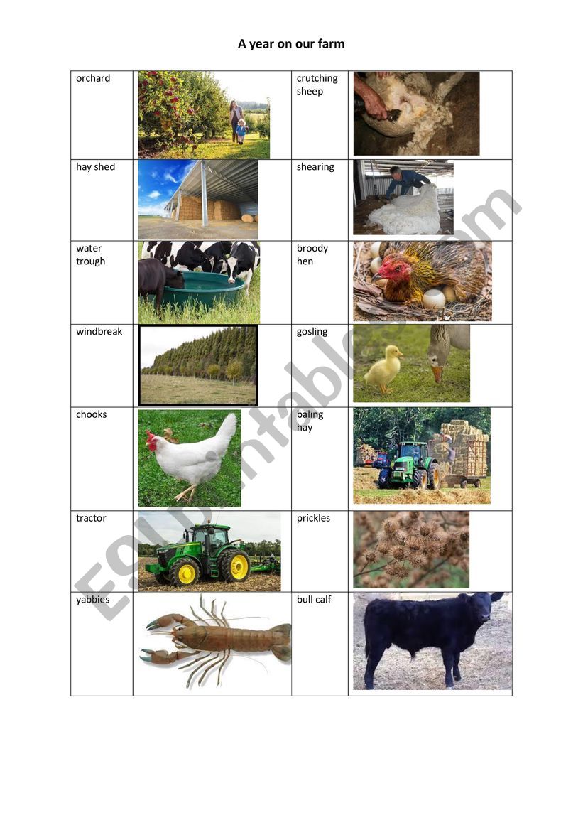 Farm Spelling worksheet
