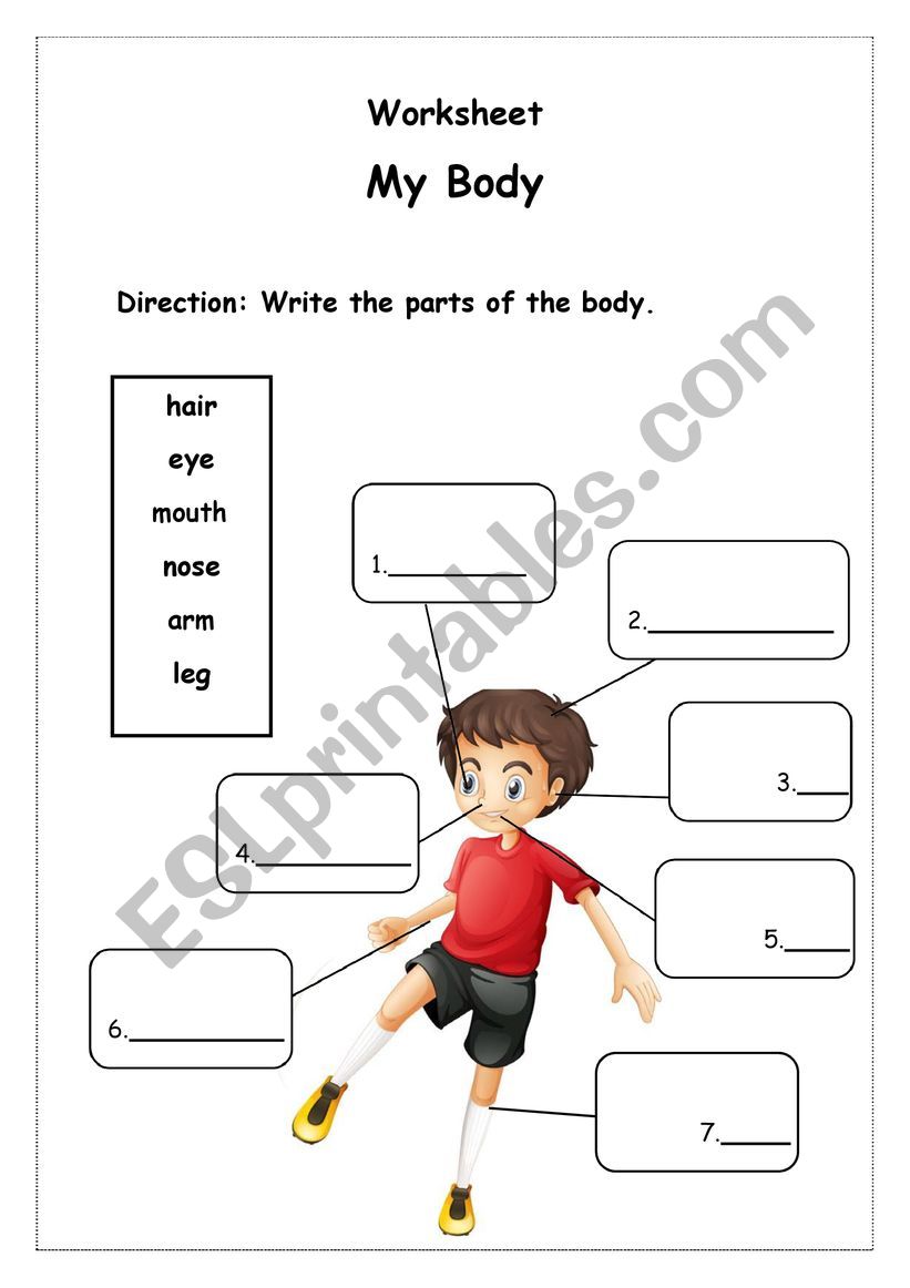 My Body worksheet