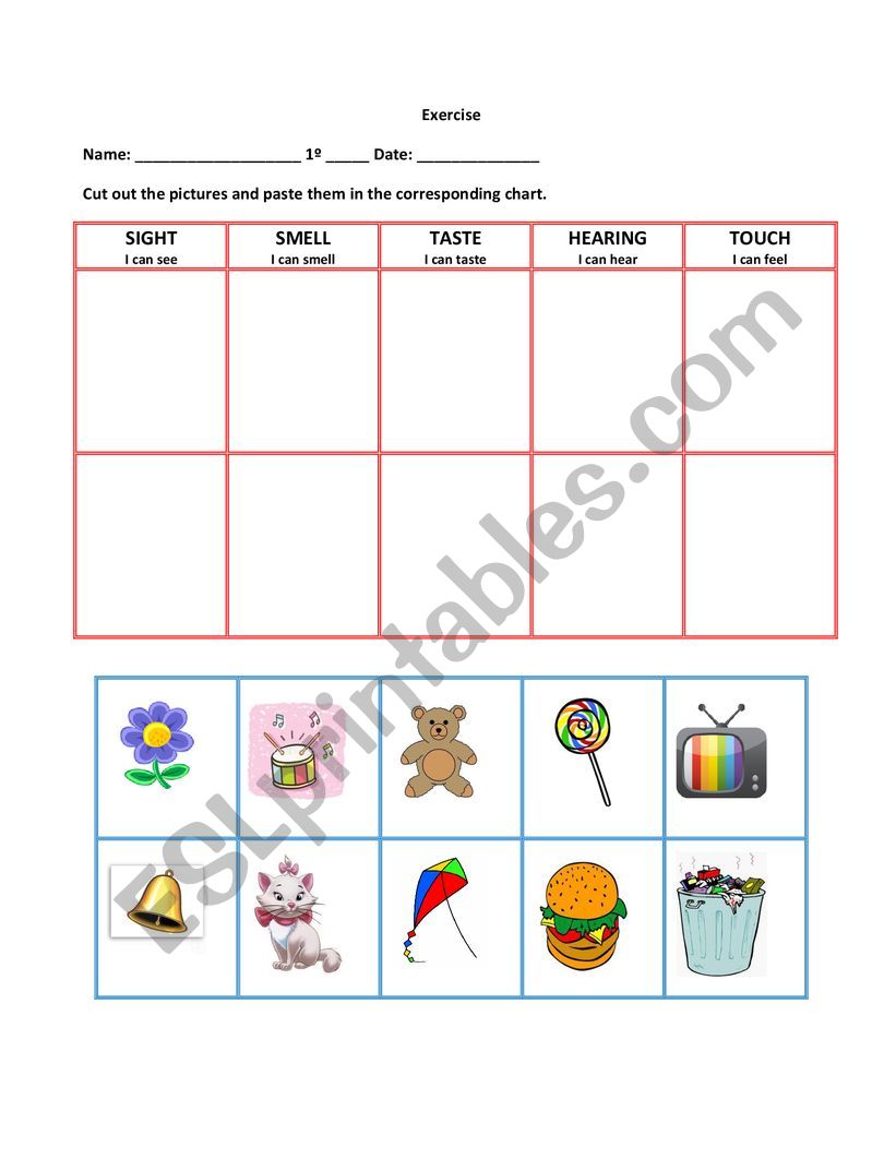 Five Senses Chart Worksheet