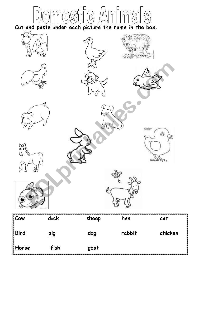 Domestic Animals worksheet