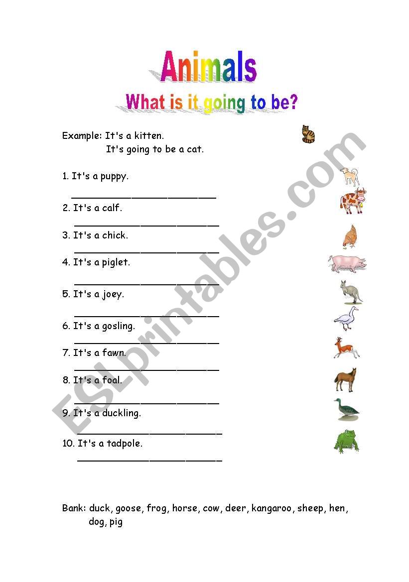 ANIMALS AND THEIR BABIES worksheet