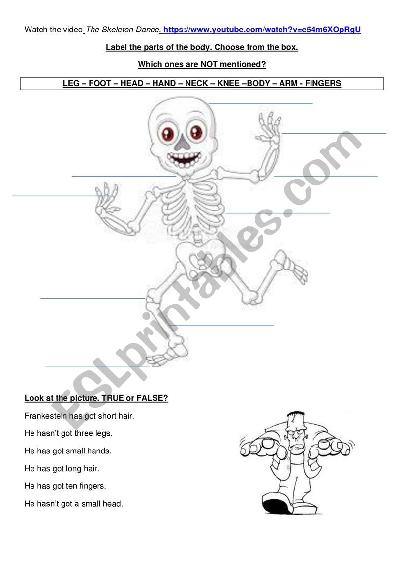 The Skeleton Dance worksheet