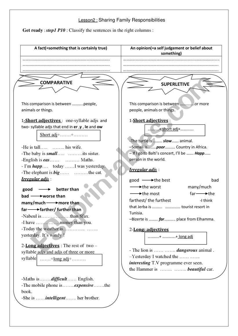 grammar worksheet worksheet