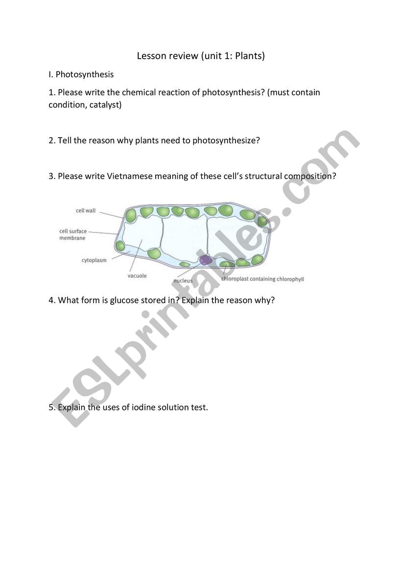 Review Plants worksheet