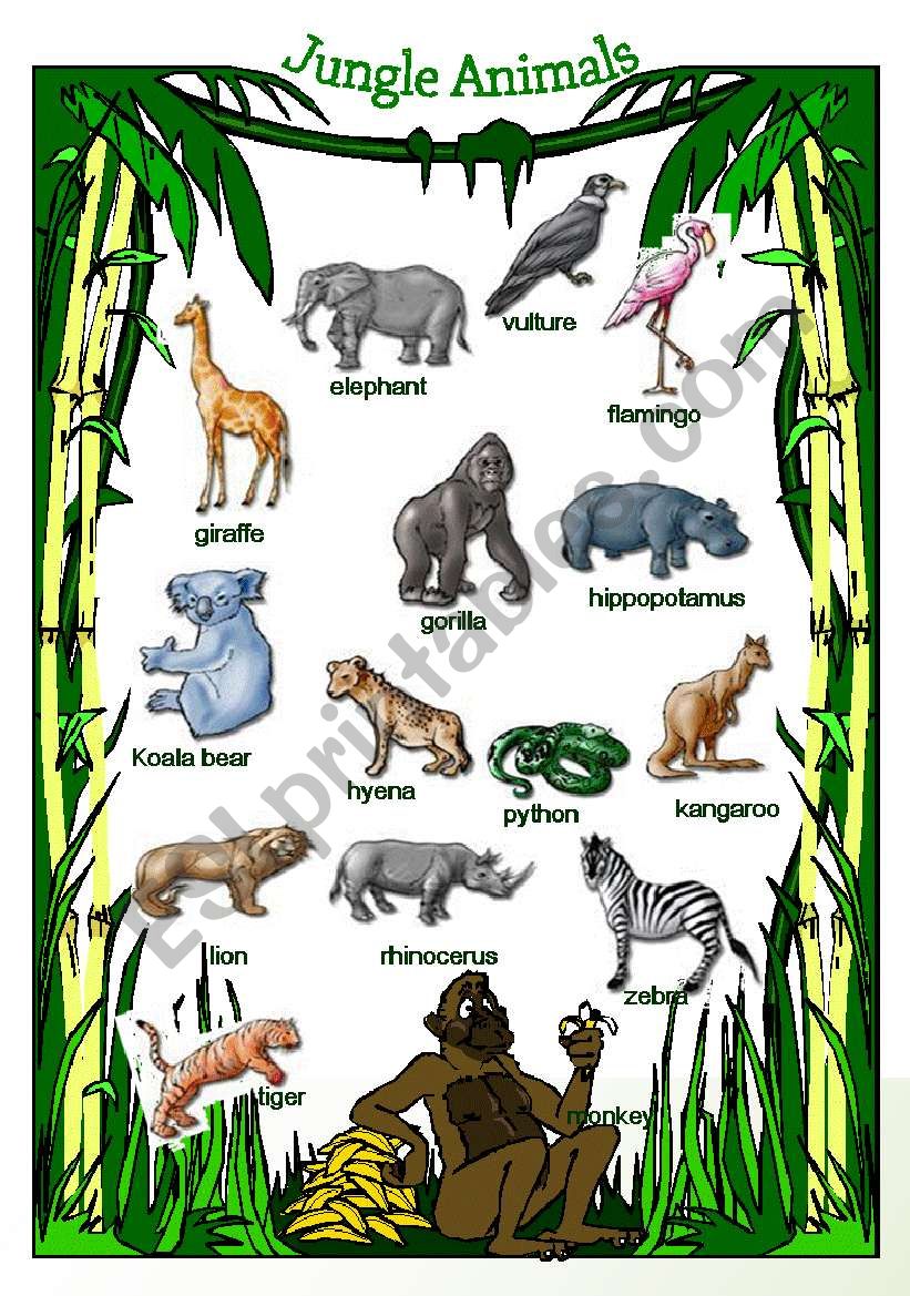 Jungle Animals worksheet