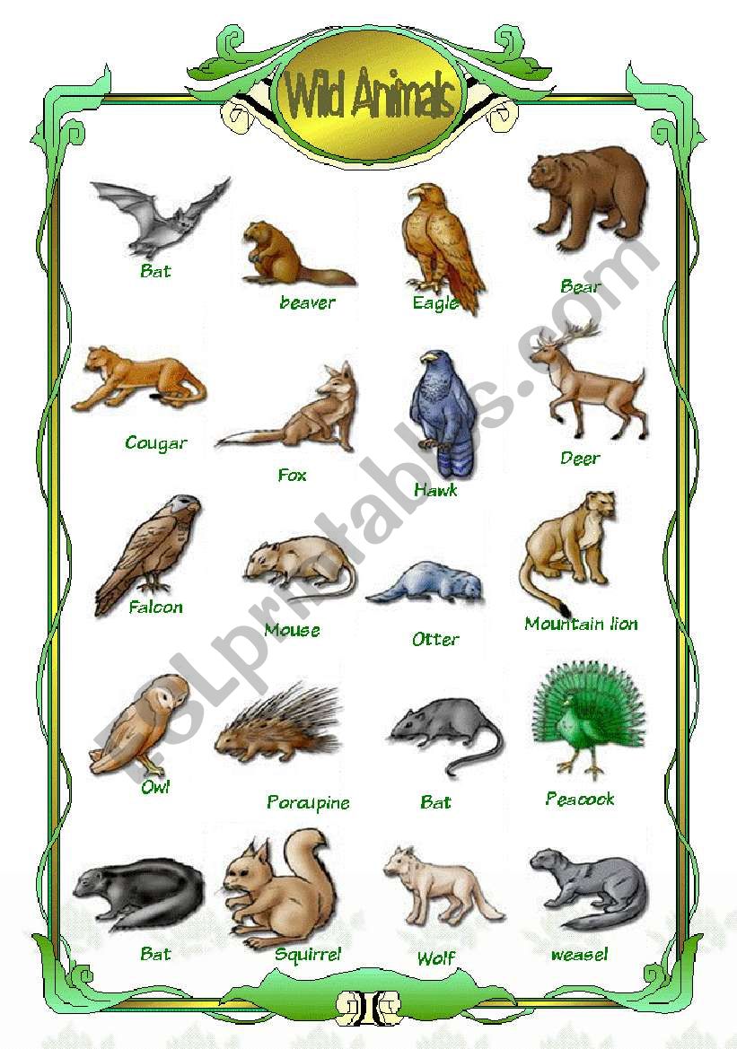 Wild animals worksheet