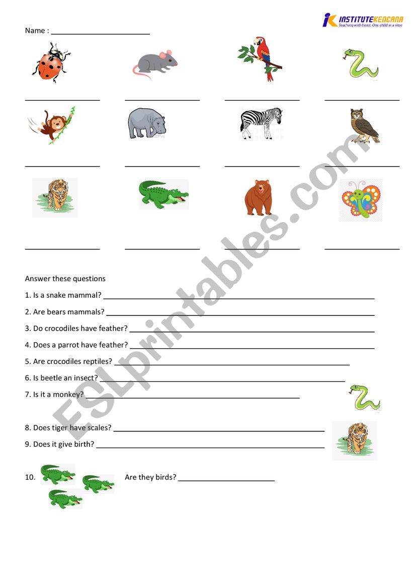 ANIMALS grade 2 worksheet