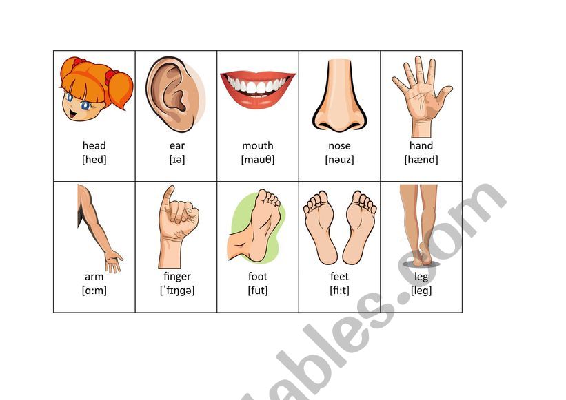 cards worksheet