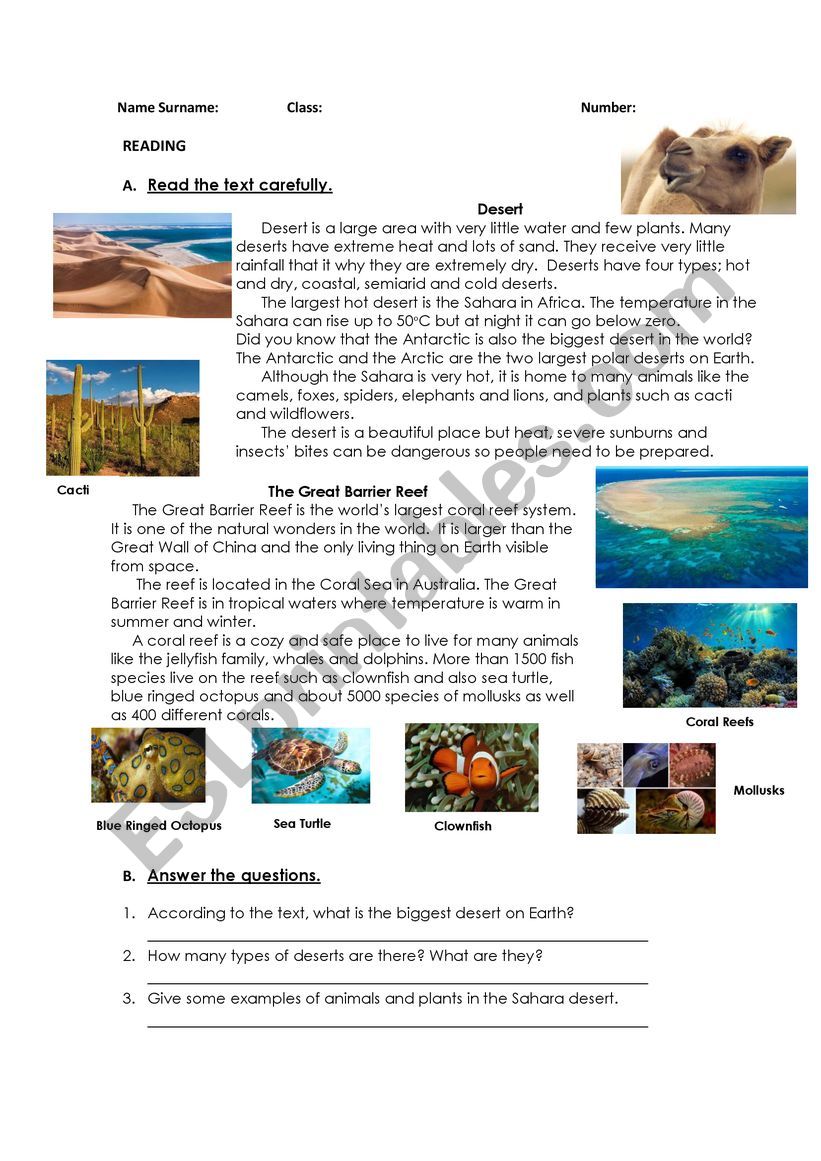 Landscapes - reading homework - ESL worksheet by hananemim