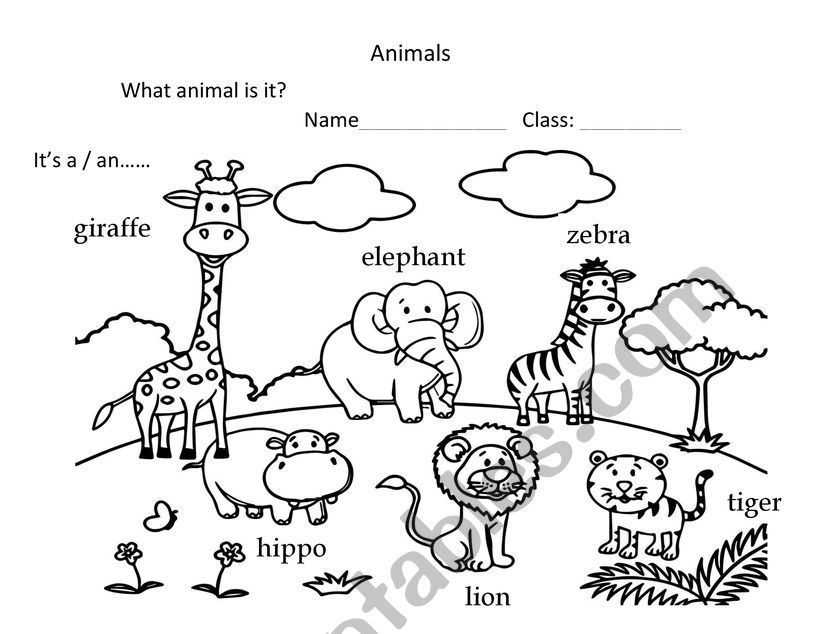 Animals reading for kids worksheet
