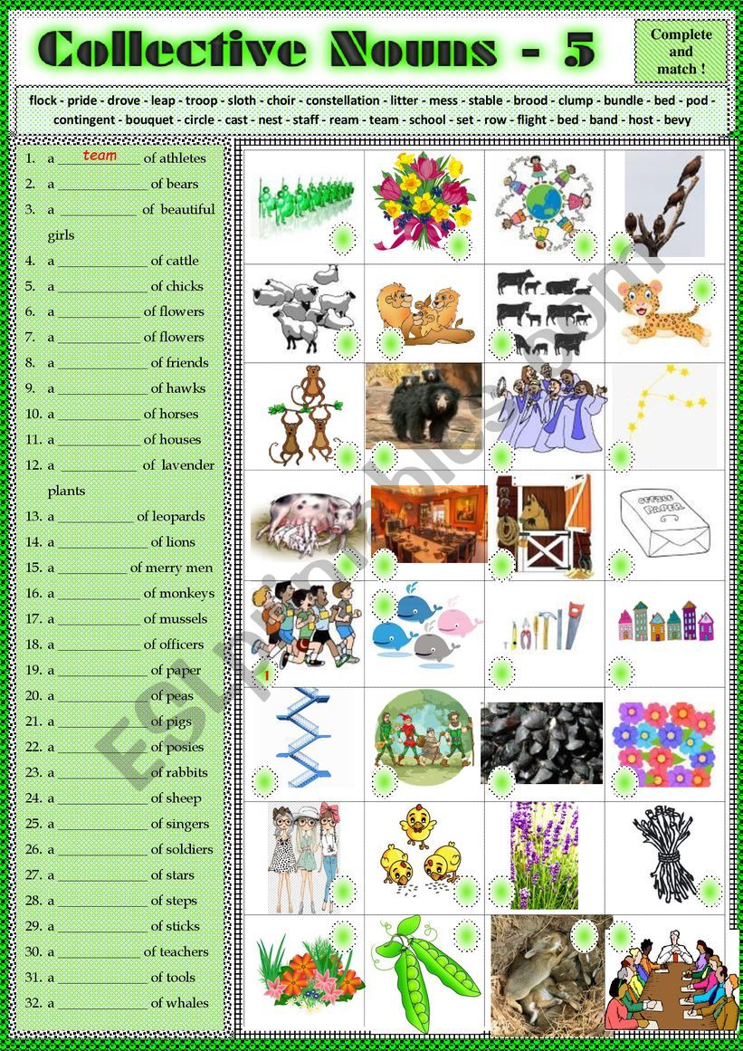 collective-nouns-5-exercises-key-esl-worksheet-by-karagozian