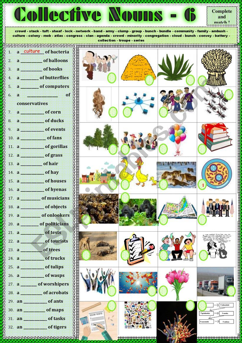 collective-nouns-6-exercises-key-esl-worksheet-by-karagozian