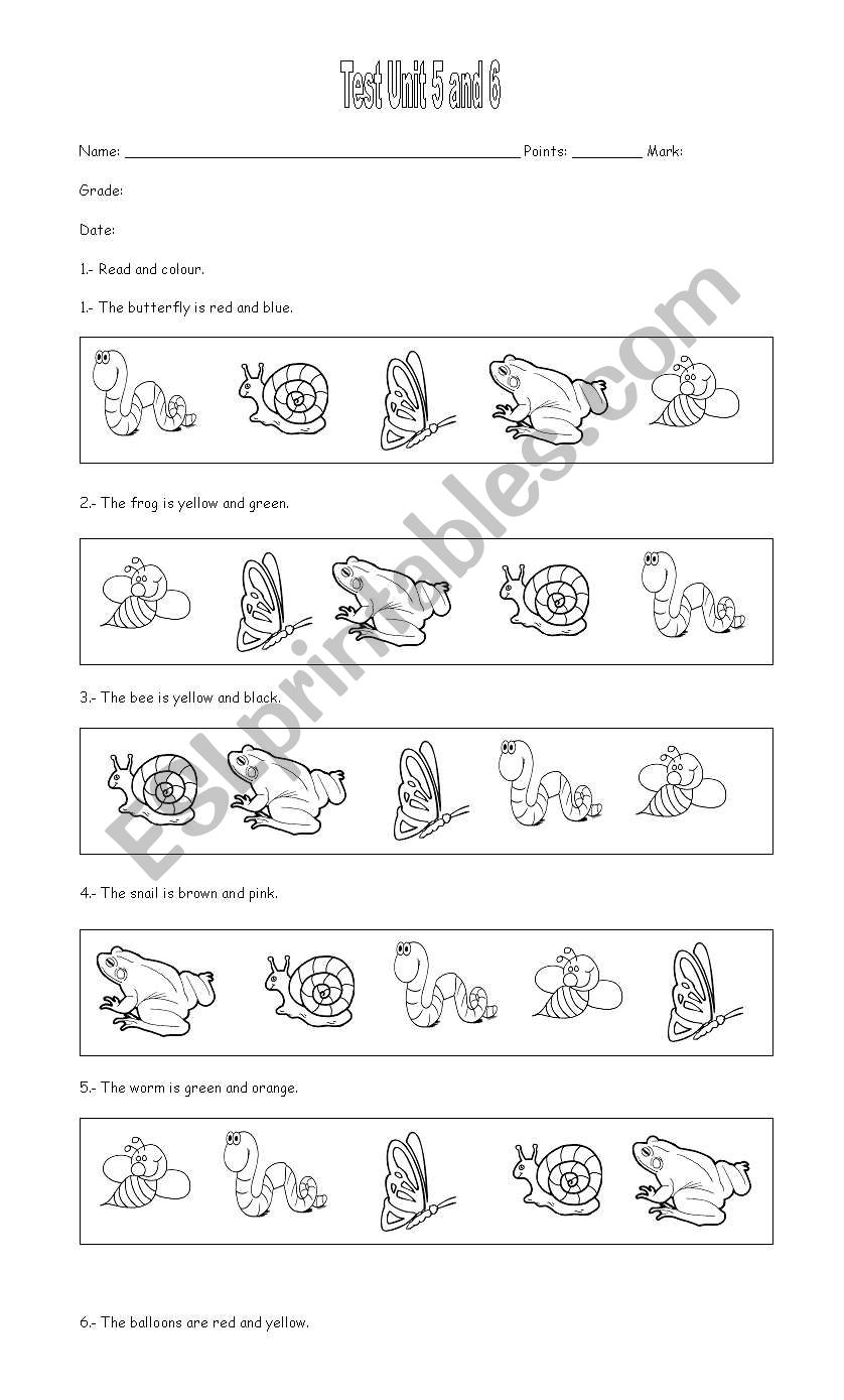 test minibeasts worksheet