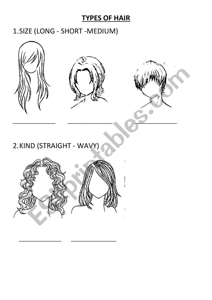 TYPES OF HAIR worksheet