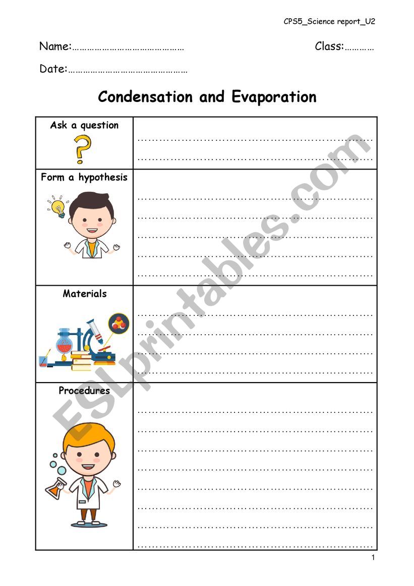 Science report for junior worksheet