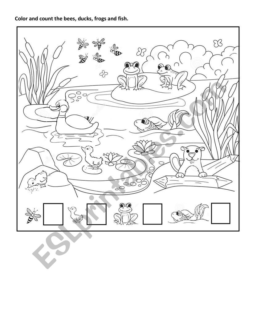Pond animals worksheet