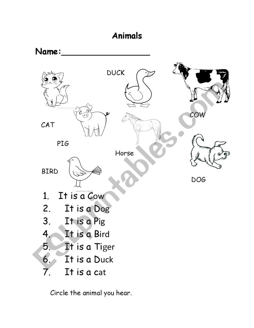 animals worksheet