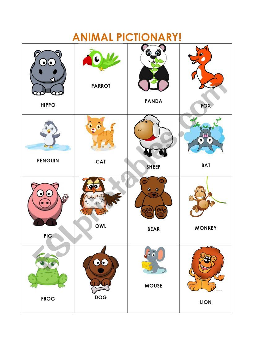 Animal Pictionary  worksheet