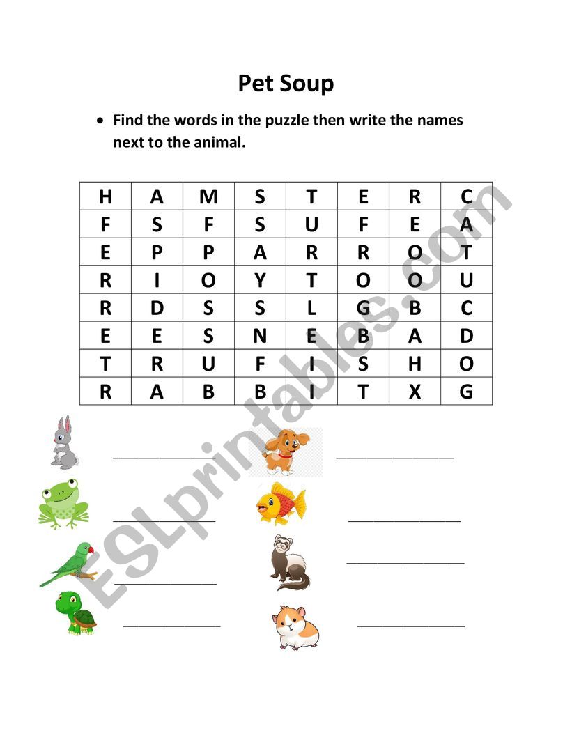 Pets worksheet