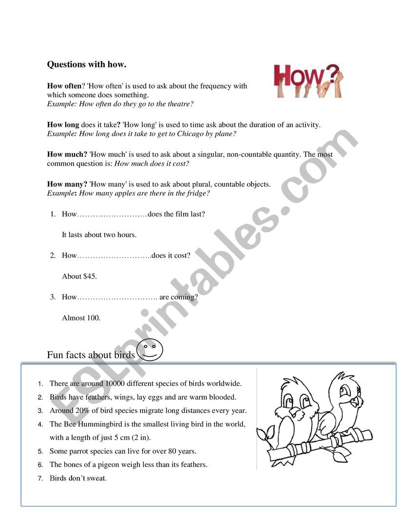 how questions worksheet