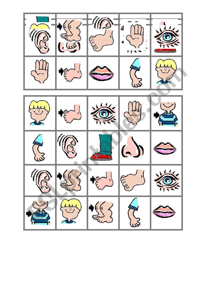 Bingo Body 1 worksheet