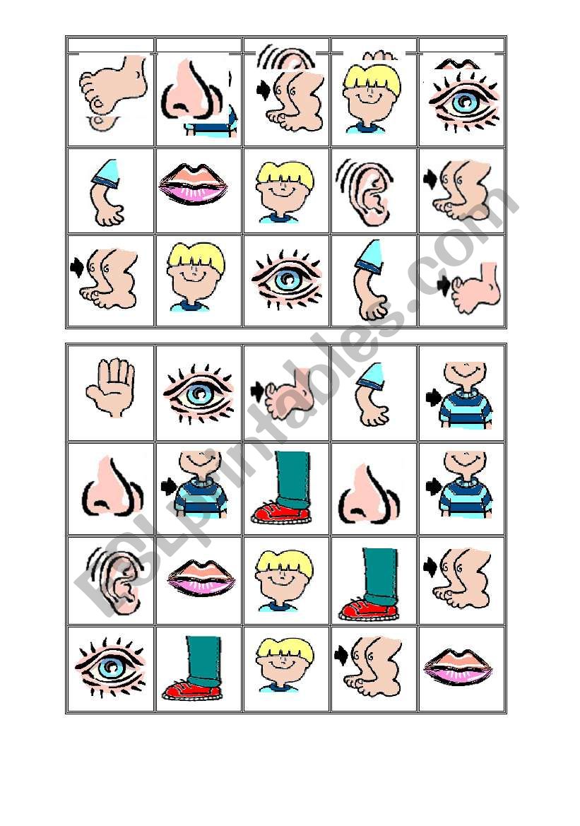 Body Bingo 3 worksheet