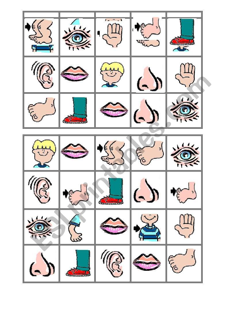 Bingo Body 6 worksheet