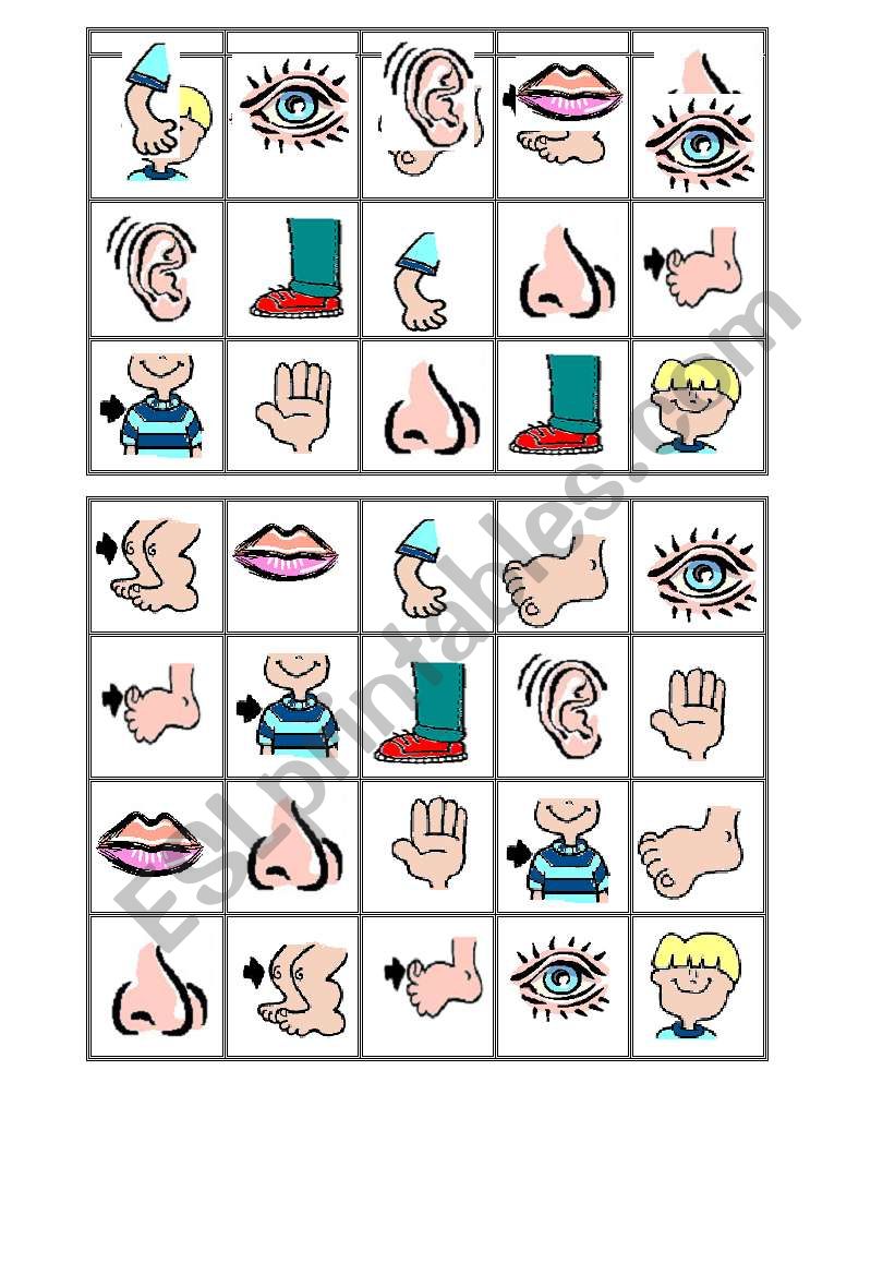 Bingo Body 8 worksheet