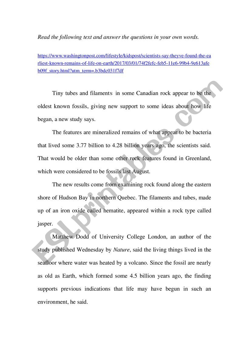 Reand and answer worksheet