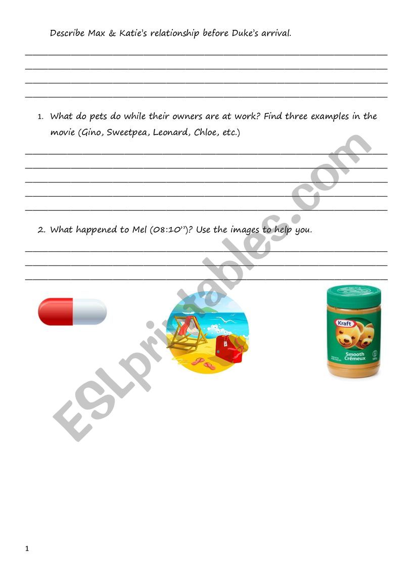 pet worksheet