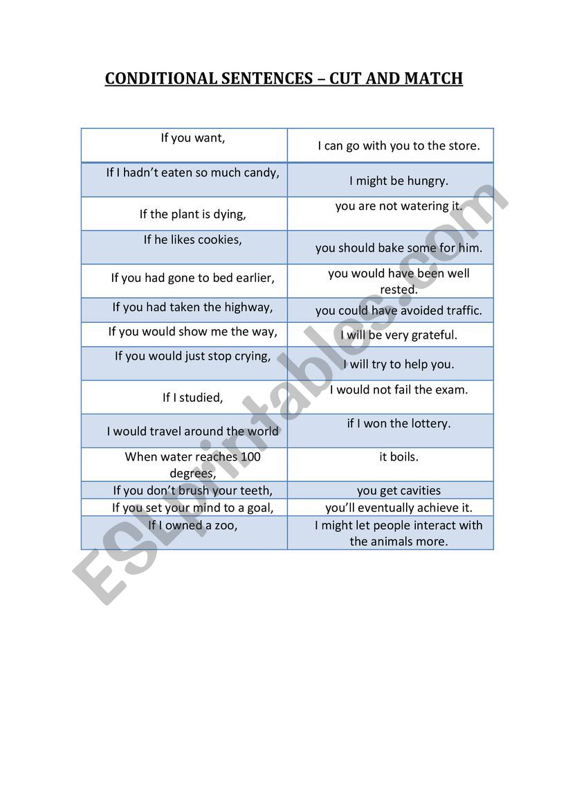 CONDITIONALS MATCHING worksheet