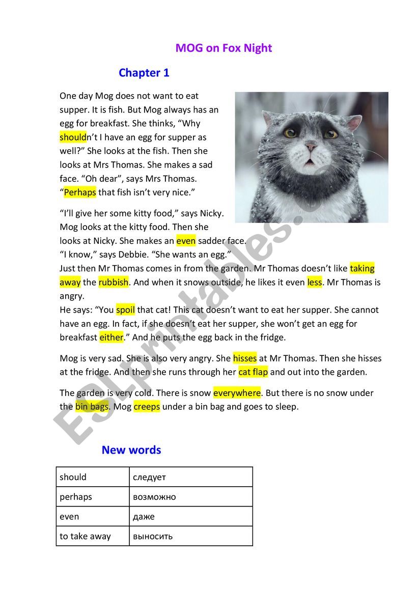Mog the Cat chapter 1 worksheet