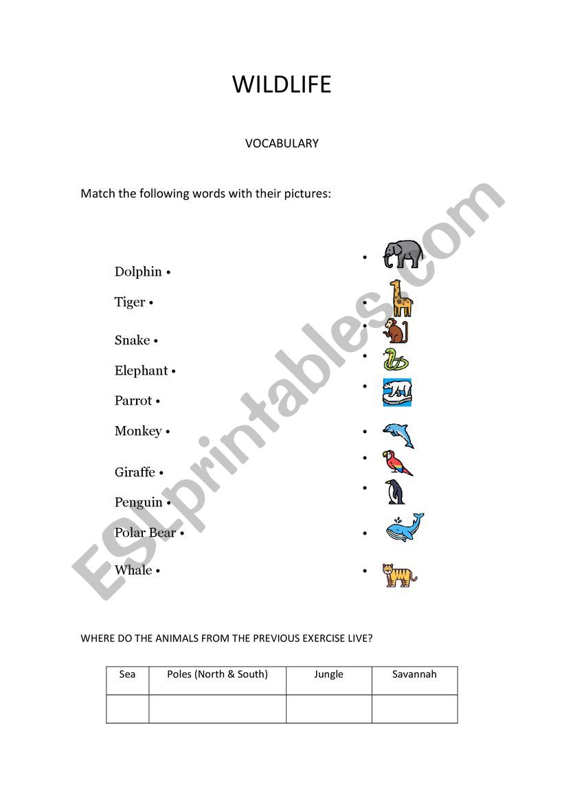 Wildlife Bonus Exercise worksheet