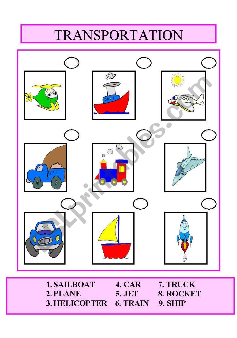 transportation worksheet