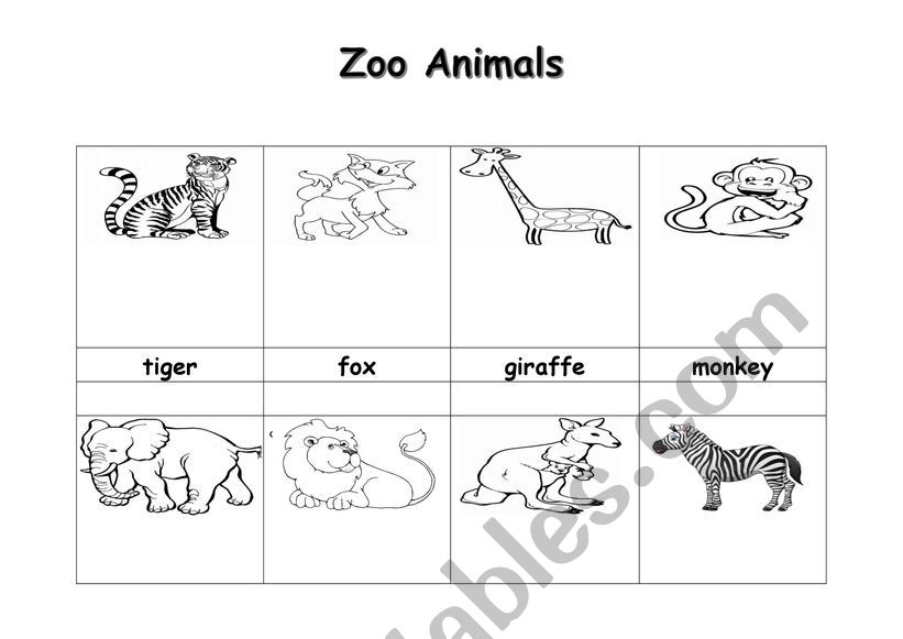 zoo animals picture dictionary